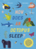 How Does an Octopus Sleep? : Discover the Ways Your Favorite Animals Sleep