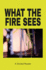 What the Fire Sees: a Divided Reader