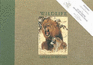 Wildlife of Africa