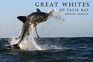 Great Whites of False Bay-South Africa