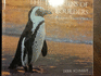 The Penguins of Boulders