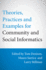 Theories, Practices and Examples for Community and Social Informatics