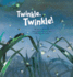 Twinkle Twinkle! : Insect Life Cycle (Science Storybooks)