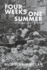 Four Weeks One Summer: When It All Went Wrong