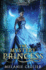 The Mystery Princess: a Retelling of Cinderella