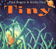Tiny