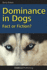 Dominance in Dogs: Fact Or Fiction?