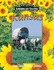 Kansas (a Guide to American States)