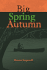 Big Spring Autumn