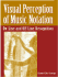 Visual Perception of Music Notation: on-Line and Off-Line Recognition