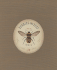Mark Ryden: Bunnies & Bees: Micro Portfolio 3