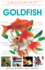 Today's Essential Guide to Keeping Goldfish (Companionhouse Books)