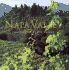 Hidden Napa Valley, Revised and Expanded Edition