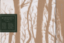 McSweeney's Issue 16 (McSweeney's Quarterly Concern)