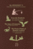 McSweeney's Issue 22 (McSweeney's Quarterly Concern)