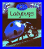 Ladybugs (Keeping Minibeasts Series)