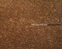 Richard Misrach: Chronologies