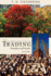 Emissions Trading Principles and Practice