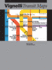 Vignelli: Transit Maps
