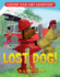 Lost Dog! (Choose Your Own Adventure Jr. )