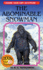 Abominable Snowman (Choose Your Own Adventure (Paperback/Revised))