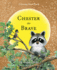 Chester the Brave