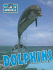 Dolphins (World of Animals)