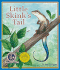 Little Skink's Tail