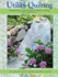 Utility Quilting: Simple Solutions for Quick Hand Quilting: Easy, Stress Free Ways to Quickly Hand Quilt Your Quilts (Landauer)