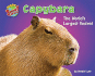 Capybara: the World's Largest Rodent (More Supersized! )