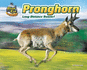 Pronghorn: Long-Distance Runner! (Blink of an Eye: Superfast Animals)