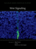 Wnt Signaling (Cold Spring Harbor Perspectives in Biology)
