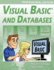 Visual Basic and Databases-Professional Edition