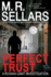 Perfect Trust: a Rowan Gant Investigation