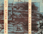 Ray Johnson: the Paper Snake