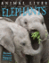 Elephants (Animal Lives)