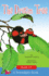 The Dream Tree (Serendipity Series, 10)