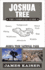 Joshua Tree: the Complete Guide: Joshua Tree National Park