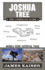 Joshua Tree: the Complete Guide: Joshua Tree National Park
