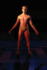 Performa 15