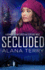Secluded (a Kennedy Stern Christian Suspense Novel)