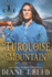Turquoise Mountain (Iron Feather Brothers Series)