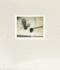 Laura Letinsky: Time's Assignation: the Polaroids