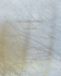 Lisa McCarty: Transcendental Concord