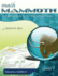 Math Mammoth Grade 7 Skills Review Workbook Answer Key