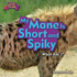 My Mane is Short and Spiky (Hyena) (Zoo Clues 2)