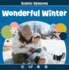 Wonderful Winter (Scenic Seasons)