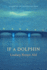 If a Dolphin