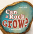 Can a Rock Grow? (Early Science Questions)