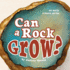 Can a Rock Grow? (Early Science Questions)